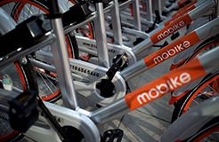 引證商標被撤三！摩拜公司“MOBIKE”商標注冊不具有在先注冊障礙