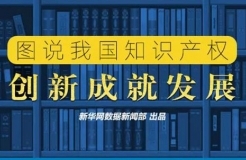 一圖看懂「我國知識產(chǎn)權“量和質”的齊升」！