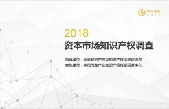 2018資本市場知識(shí)產(chǎn)權(quán)調(diào)查報(bào)告（PPT全文）