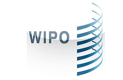 世界知識產權組織（WIPO）發(fā)布首份技術趨勢報告