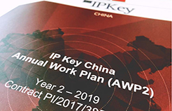 IP Key中國項(xiàng)目2019年度工作計(jì)劃公布！