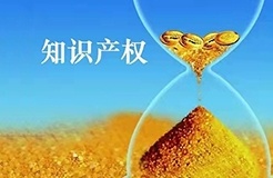 杭州：開展知識產(chǎn)權(quán)證券化試點，探索知識產(chǎn)權(quán)資本化新模式