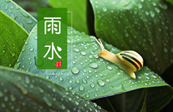 節(jié)日IP記 | 雨水：雨落 花開(kāi)！