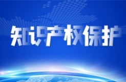 中國(guó)科協(xié)學(xué)會(huì)服務(wù)中心舉辦“加強(qiáng)知識(shí)產(chǎn)權(quán)保護(hù)  服務(wù)科技創(chuàng)新發(fā)展”專(zhuān)題訪(fǎng)談