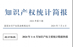 2024年1-6月專利、商標(biāo)、地理標(biāo)志等知識(shí)產(chǎn)權(quán)主要統(tǒng)計(jì)數(shù)據(jù) | 附數(shù)據(jù)詳情