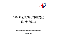 《2024年全國知識產(chǎn)權(quán)服務(wù)業(yè)統(tǒng)計(jì)調(diào)查報告》：知識產(chǎn)權(quán)從業(yè)人員人均營業(yè)收入28.9萬元/人｜附全文