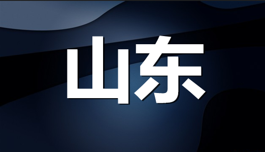 山東省企業(yè)（自然人）注冊商標持有量排名（前20名）