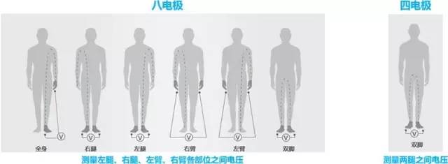 這款神器能檢測出「朋友圈曬的健身步數(shù)」是否是假運動？