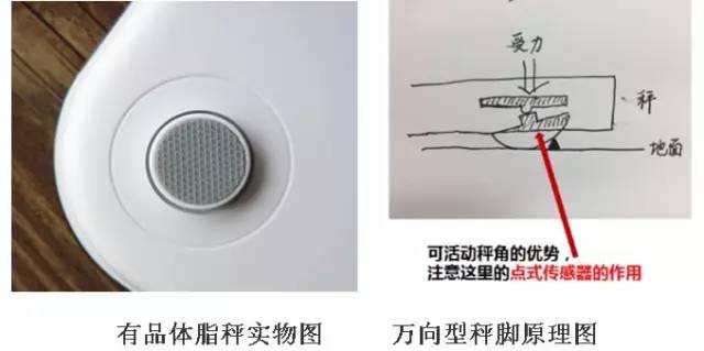 這款神器能檢測出「朋友圈曬的健身步數(shù)」是否是假運(yùn)動？