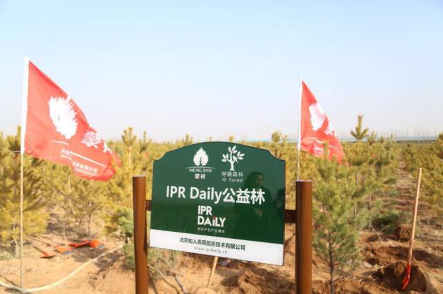 IPRdaily攜手“呼喚森林”共建公益林，為國家底色填一抹新綠