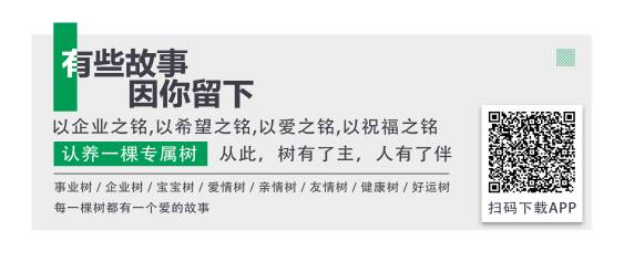 IPRdaily攜手“呼喚森林”共建公益林，為國(guó)家底色填一抹新綠