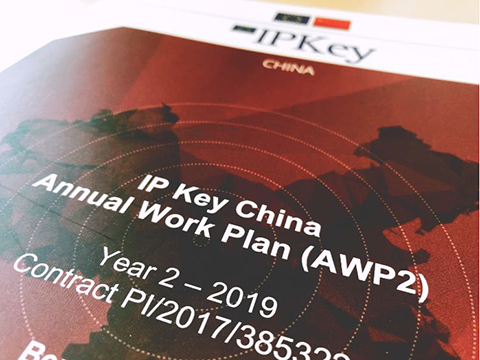 IP Key中國項目2019年度工作計劃公布！