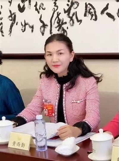 全國政協(xié)委員黃西勤：將保護知識產(chǎn)權(quán)確立為基本國策