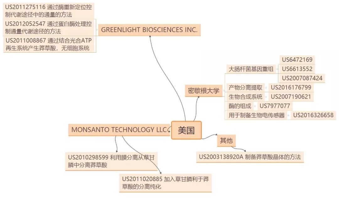 抗流感神器源起茴香八角？？？