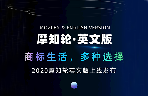 摩知輪英文查詢(xún)界面上線！涉外機(jī)構(gòu)看過(guò)來(lái)！