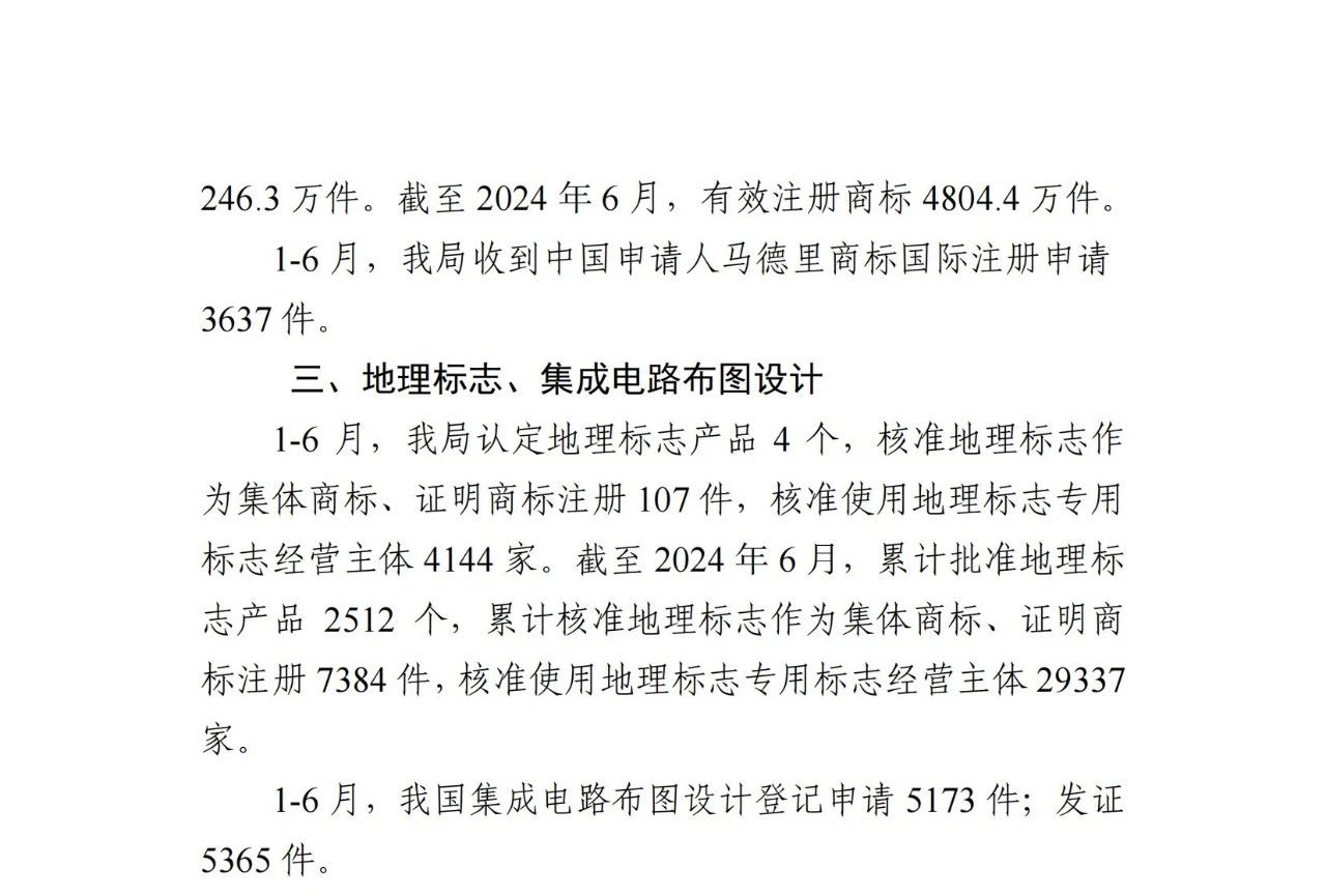 2024年1-6月專(zhuān)利、商標(biāo)、地理標(biāo)志等知識(shí)產(chǎn)權(quán)主要統(tǒng)計(jì)數(shù)據(jù) | 附數(shù)據(jù)詳情