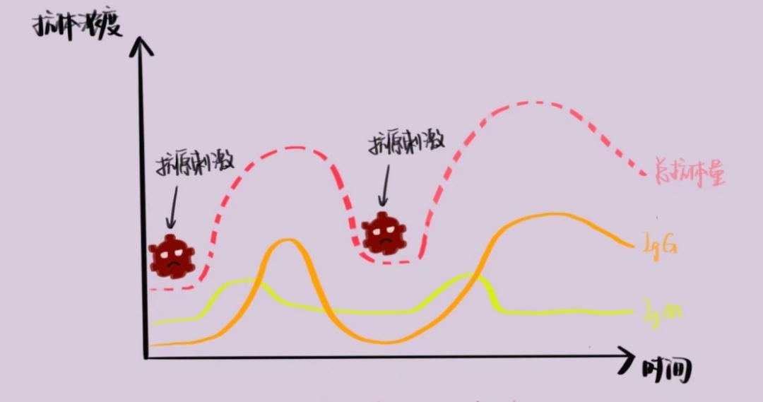 新型冠狀病毒檢測(cè)試劑盒原理及相關(guān)專(zhuān)利申請(qǐng)現(xiàn)狀分析  ?